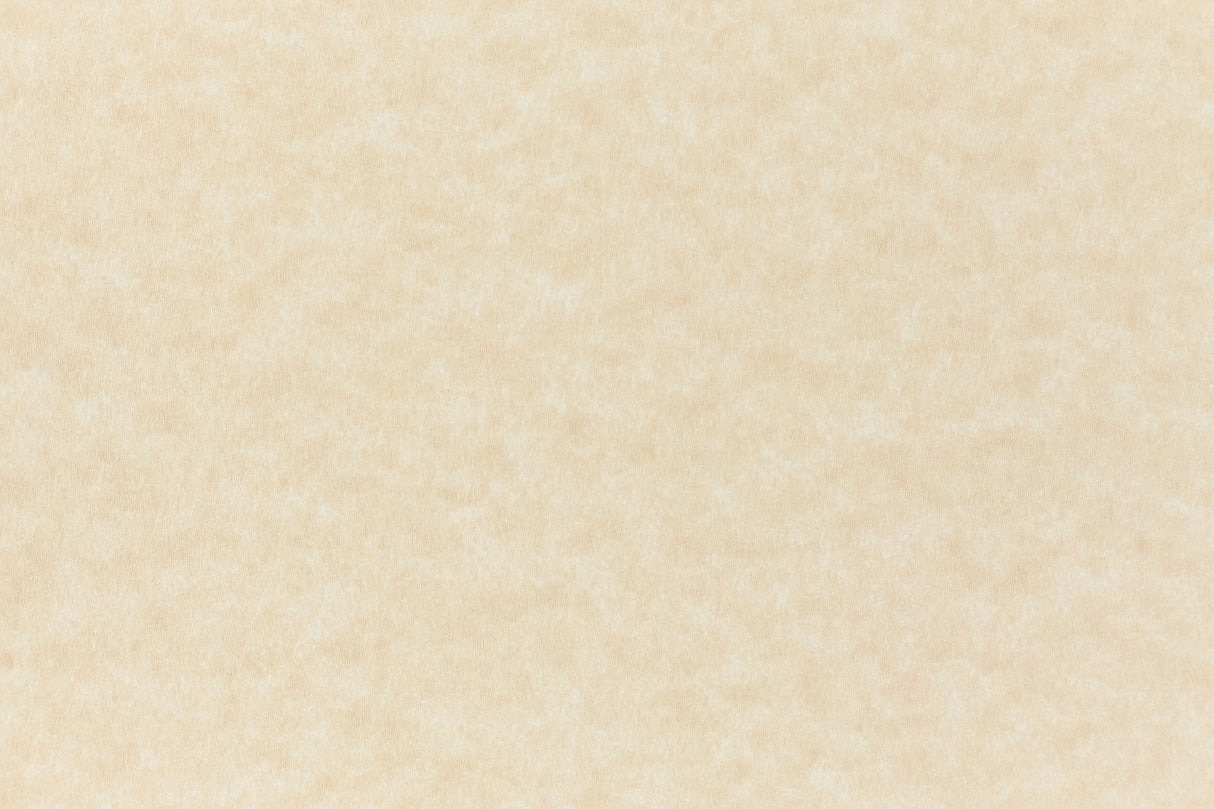Brown Cardstock Samples