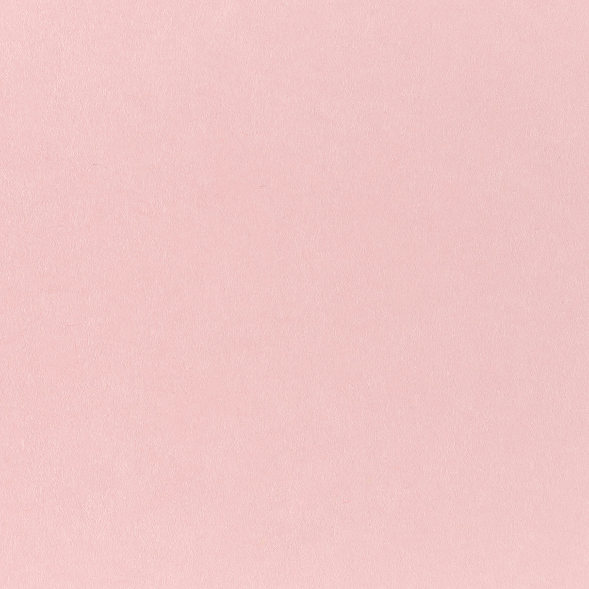 Pop-Tone Bubblegum 80. lb Cover