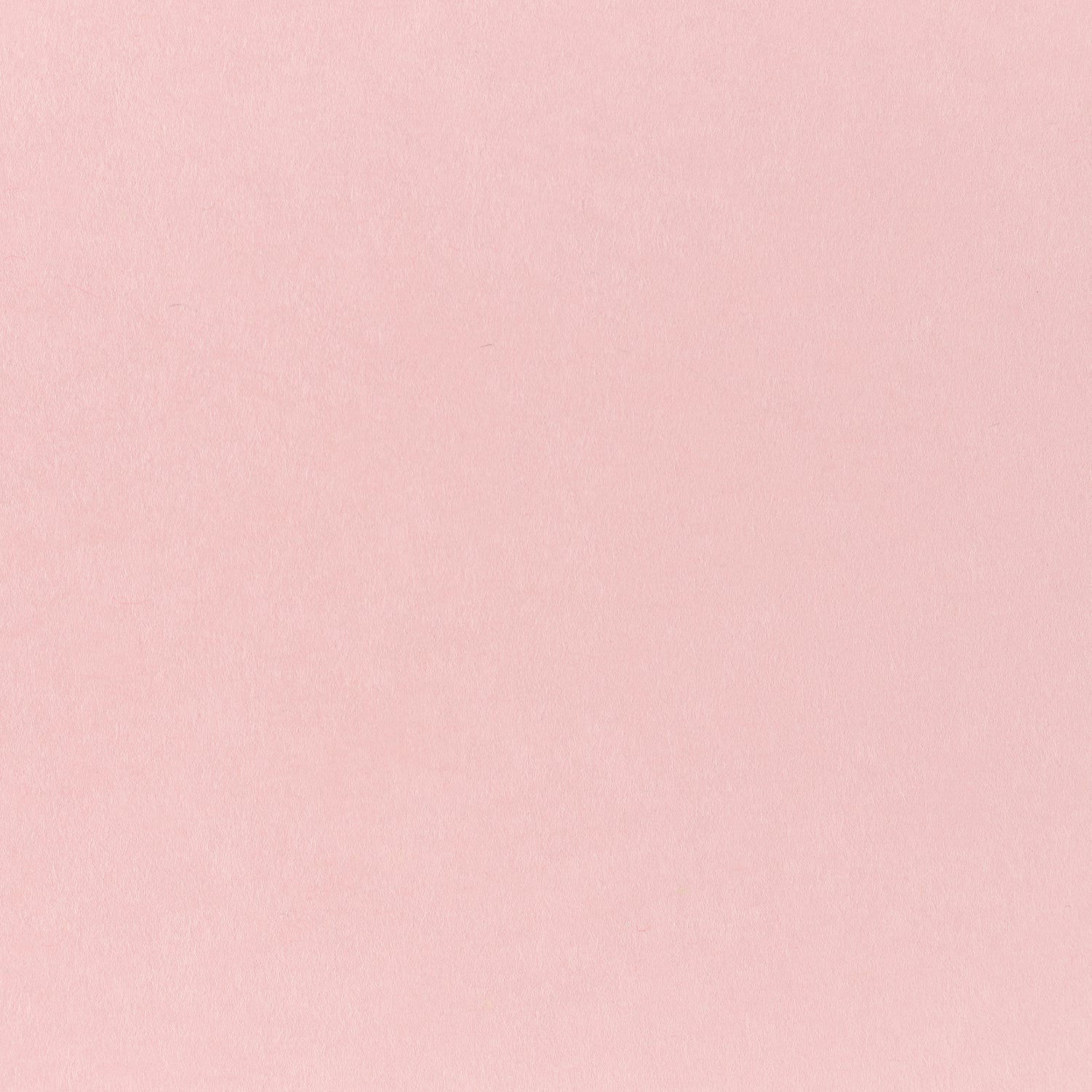 Pop-Tone Bubblegum 80. lb Cover