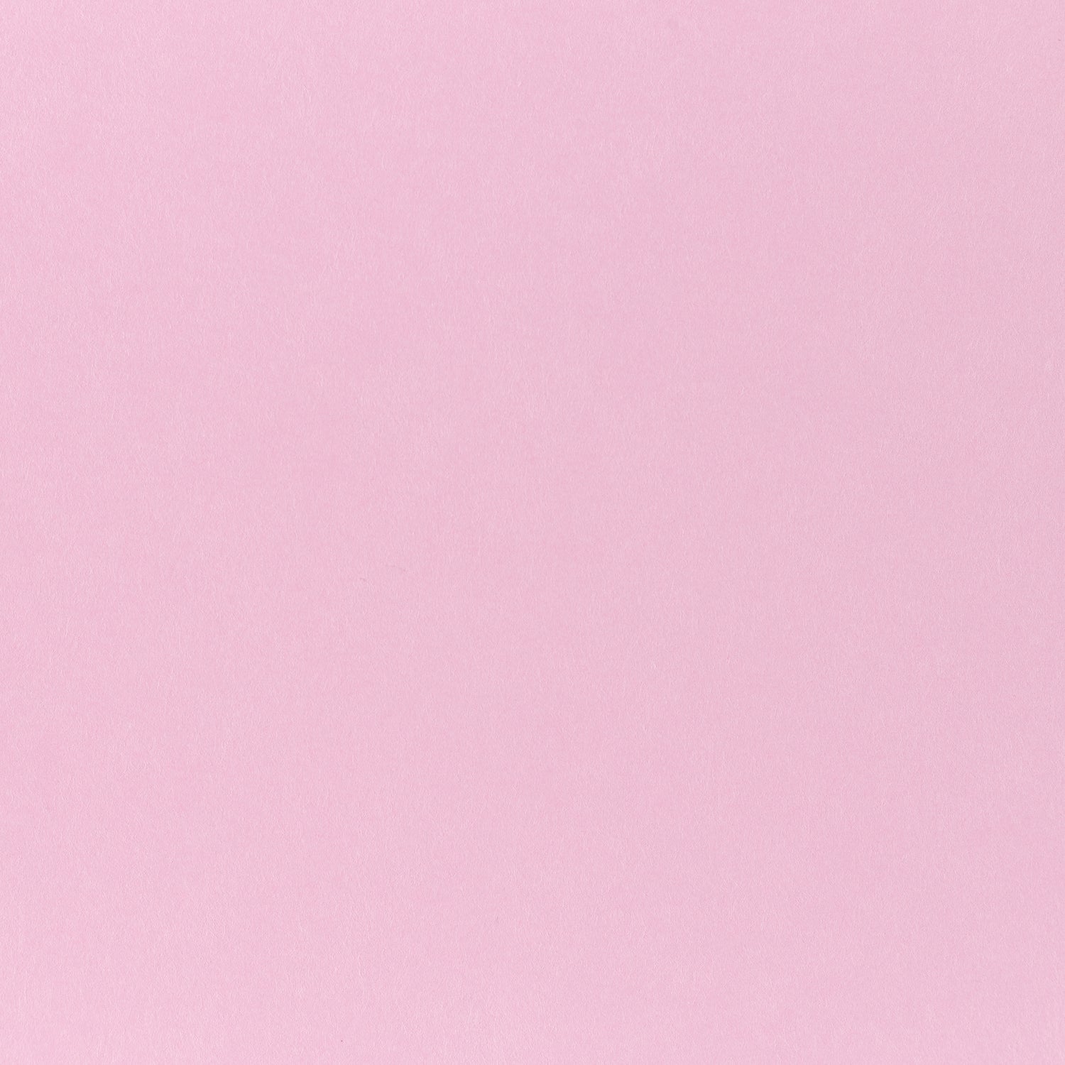 Pop-Tone Cotton Candy 80. lb Cover