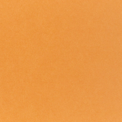 Pop-Tone Orange Fizz 80. lb Cover