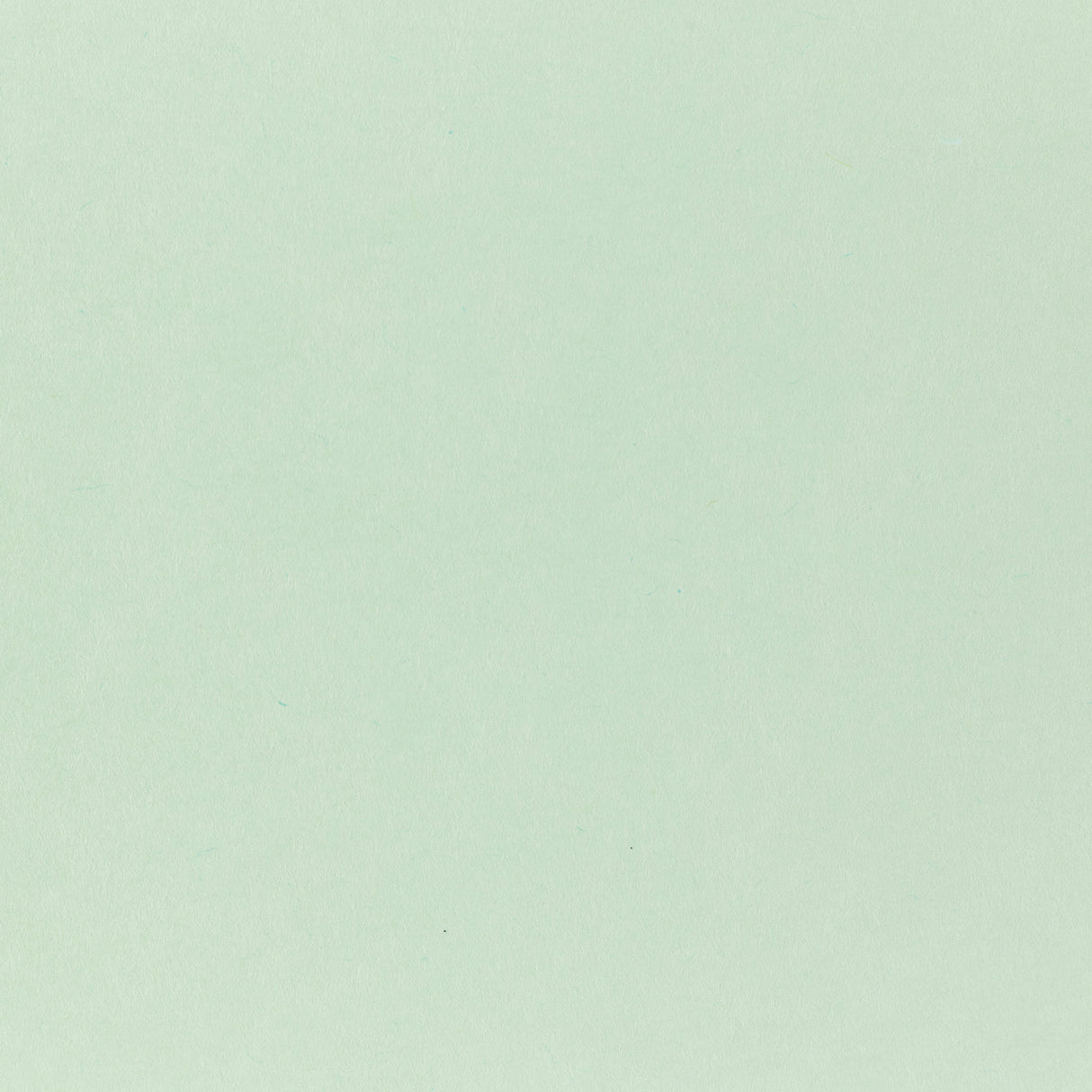 Pop-Tone Spearmint  80. lb Cover