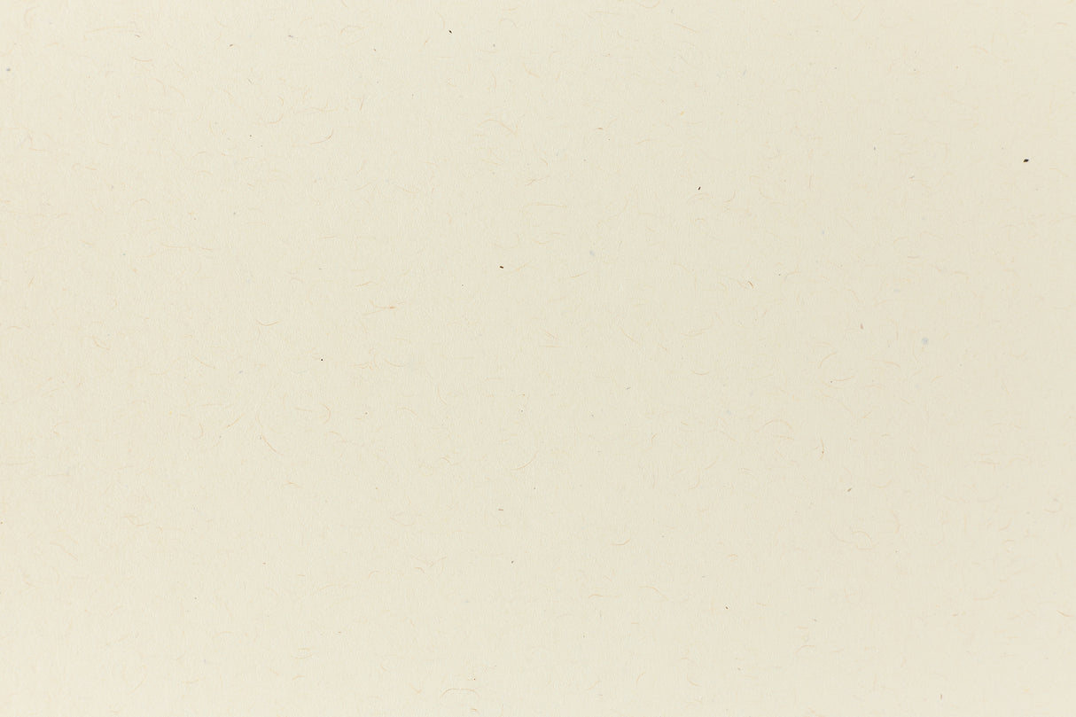 Index Off-White Kraft Envelope (Kraft-Tone)