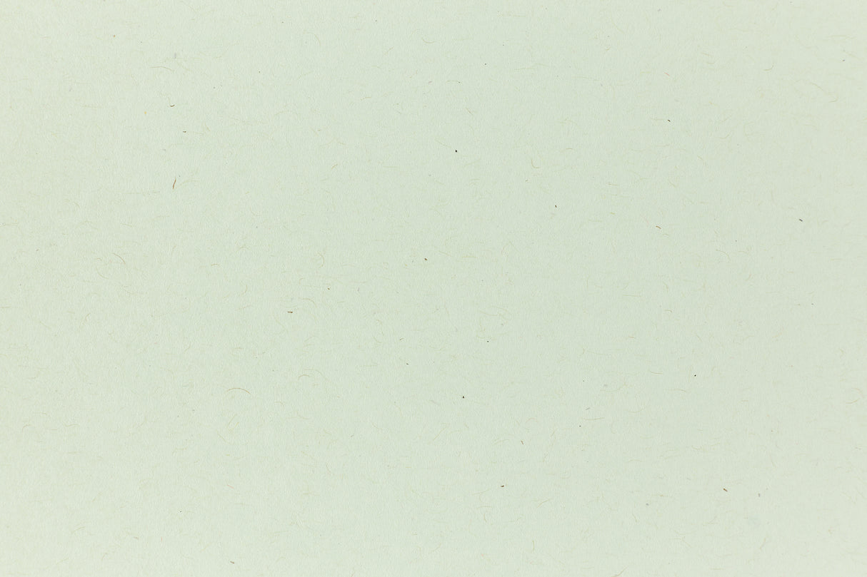 Ledger Green Kraft Envelope (Kraft-Tone)