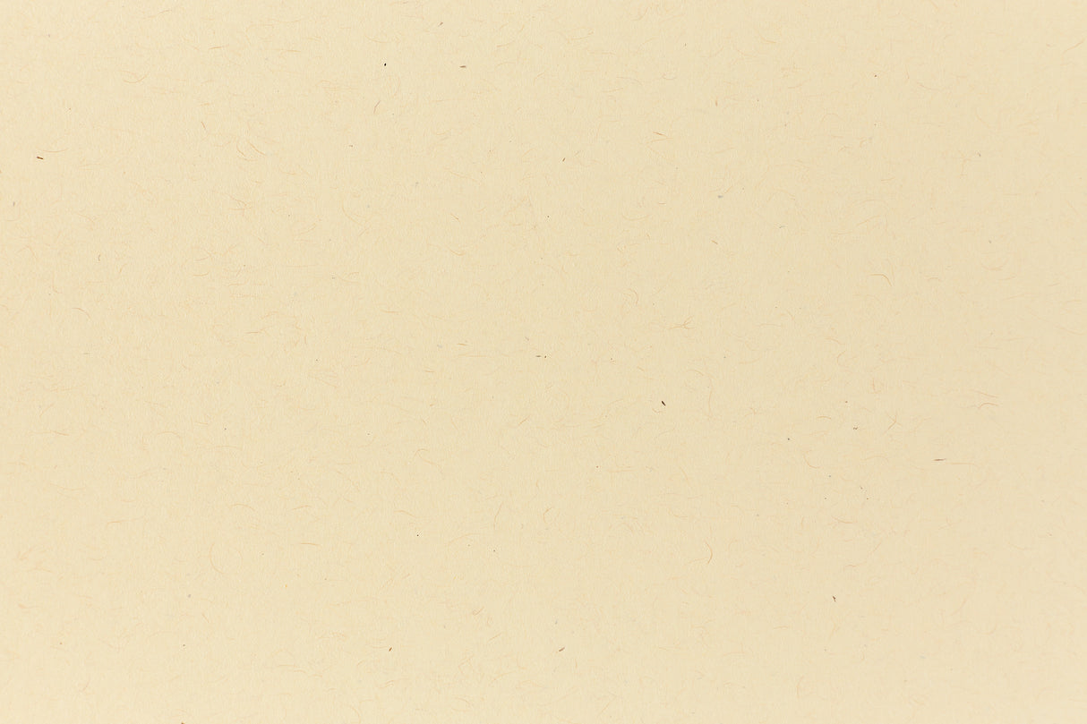 Manila Yellow Kraft Envelope (Kraft-Tone)
