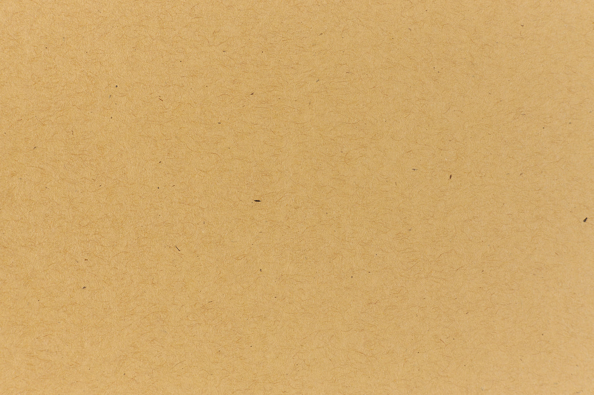 Paper Bag Kraft Envelope (Kraft-Tone)