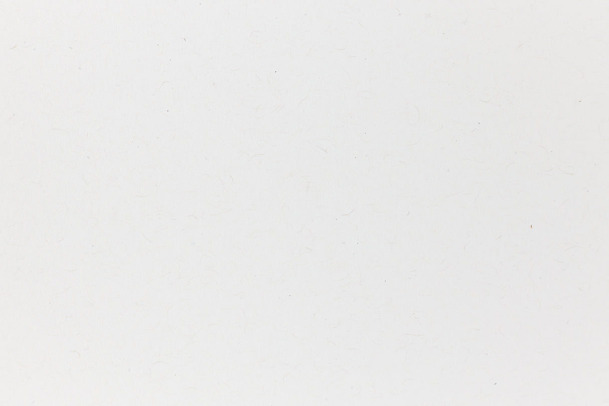 Standard White Kraft Envelope (Kraft-Tone)