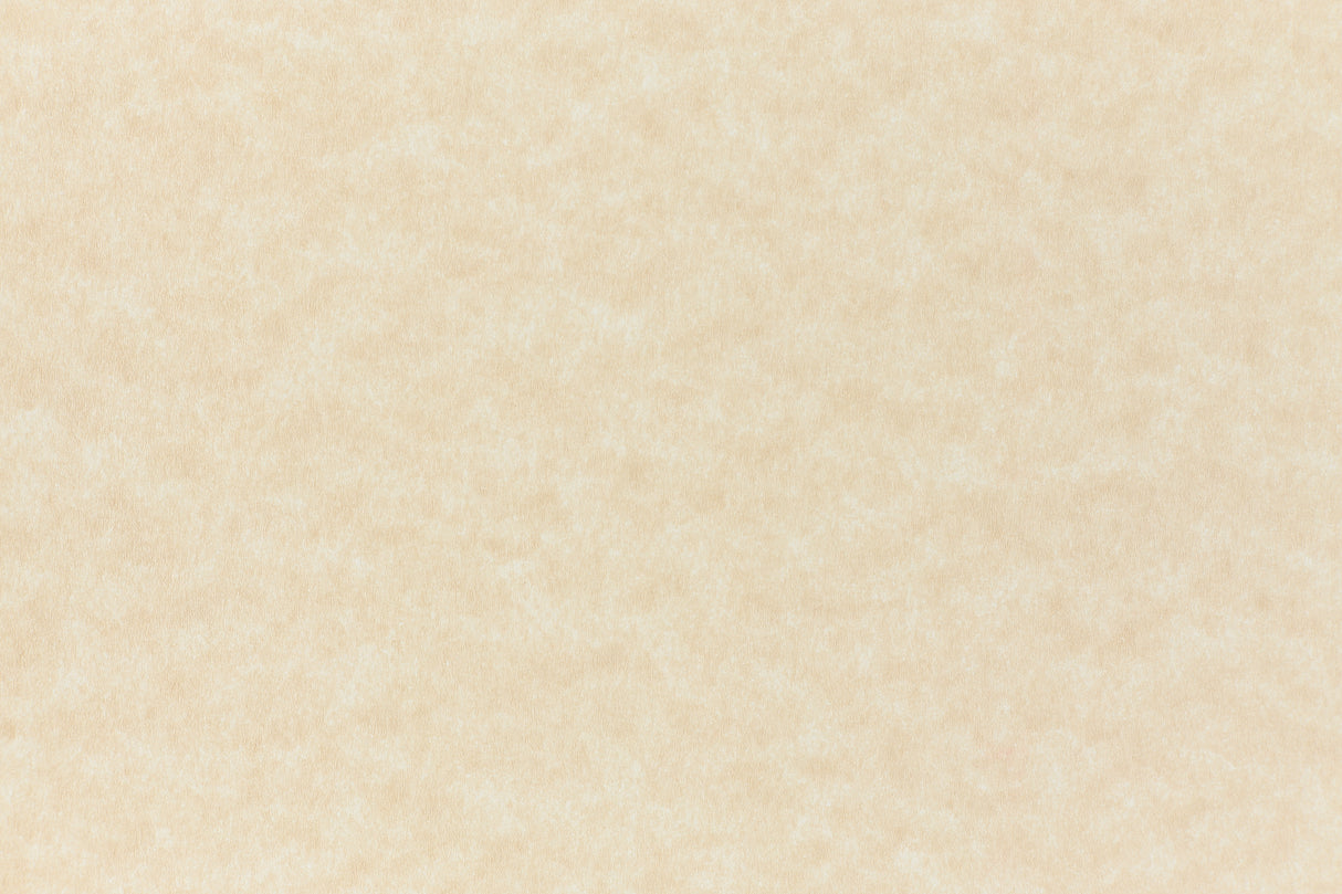 Aged Parchment Envelope (Parchtone)