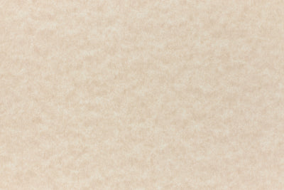 Camel Paper (Parchtone, Text Weight)