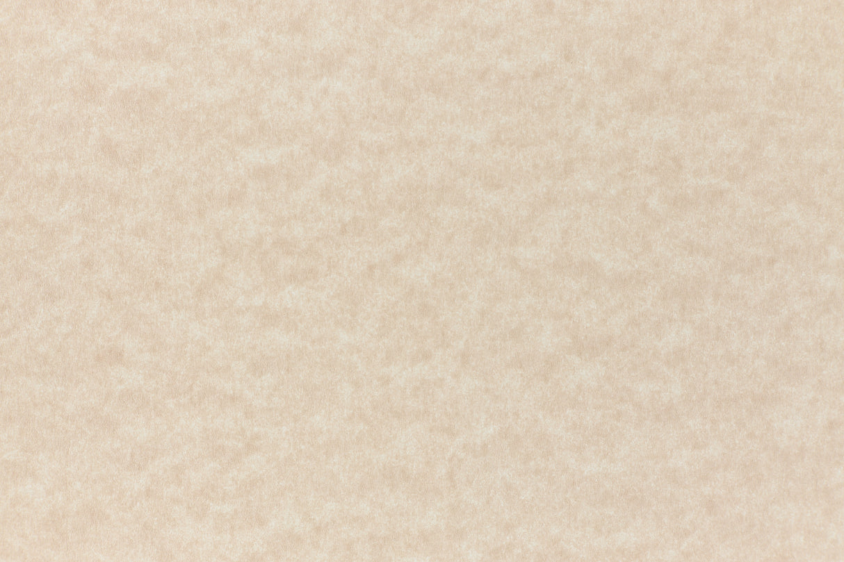 Camel Envelope (Parchtone)