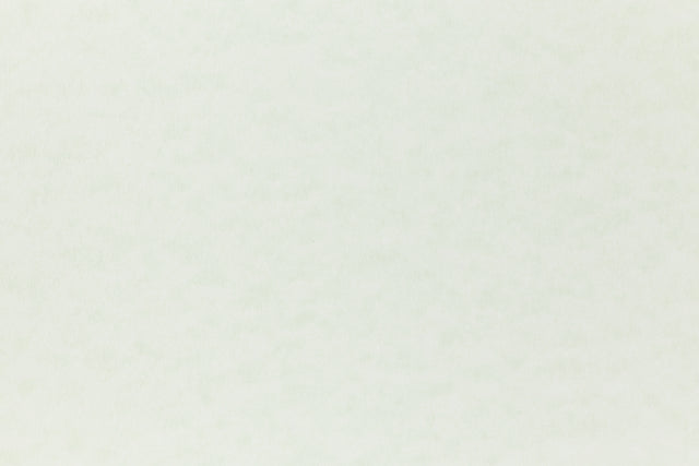 Light green cardstock paper for arts and crafts.