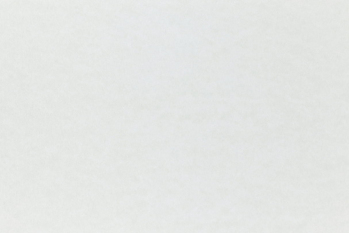 Mist Paper (Parchtone, Text Weight)