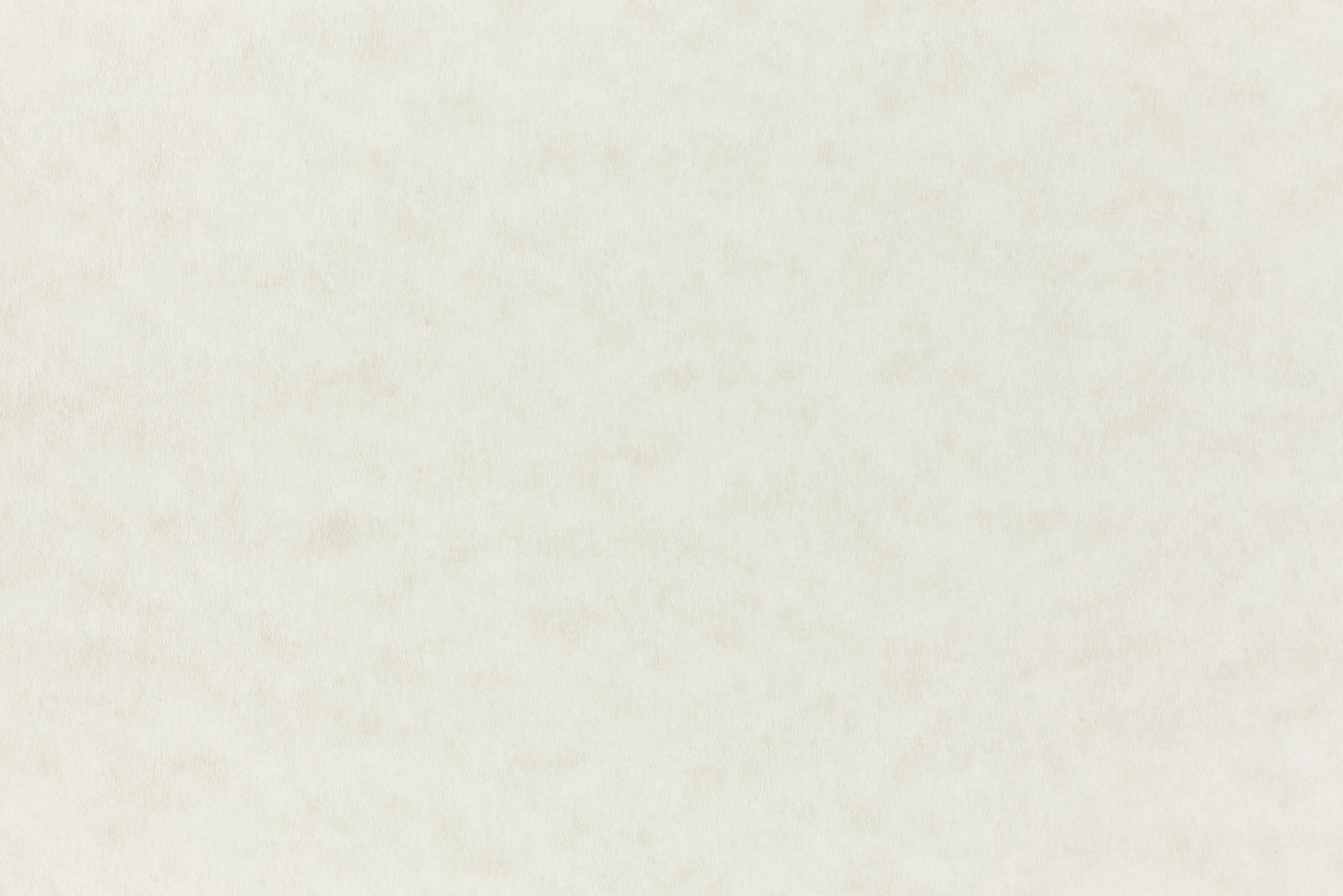 Natural Paper (Parchtone, Text Weight)