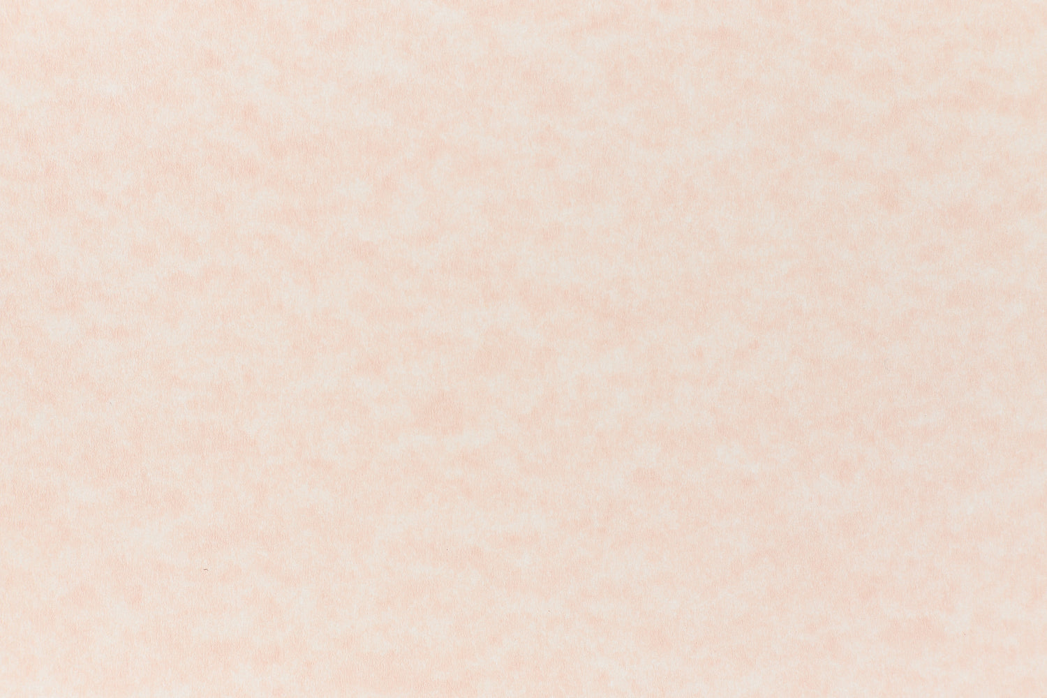 Salmon Paper (Parchtone, Text Weight)