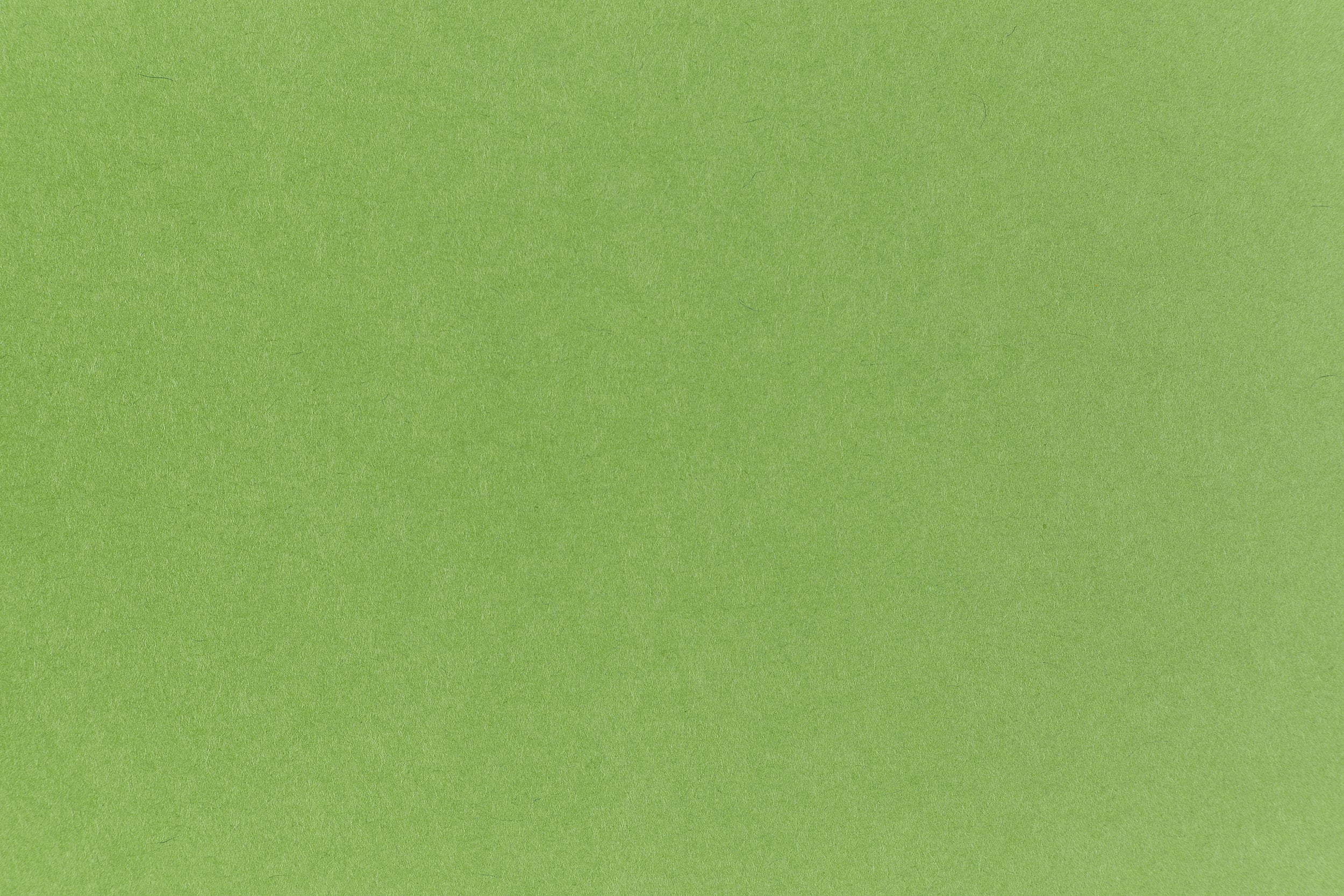 Gumdrop Green Paper (Pop-Tone, Text Weight)