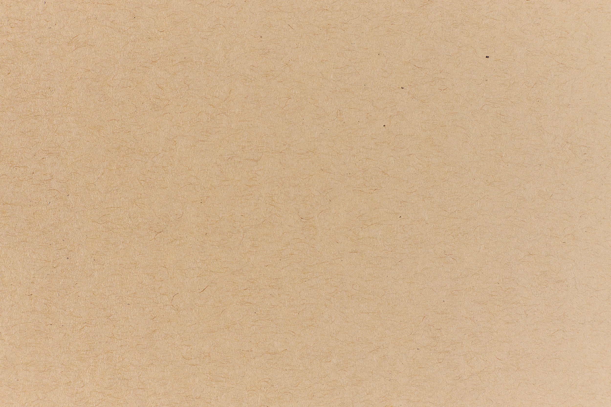 Whip Cream Cardstock - White over Weight - Pop-Tone – French Paper