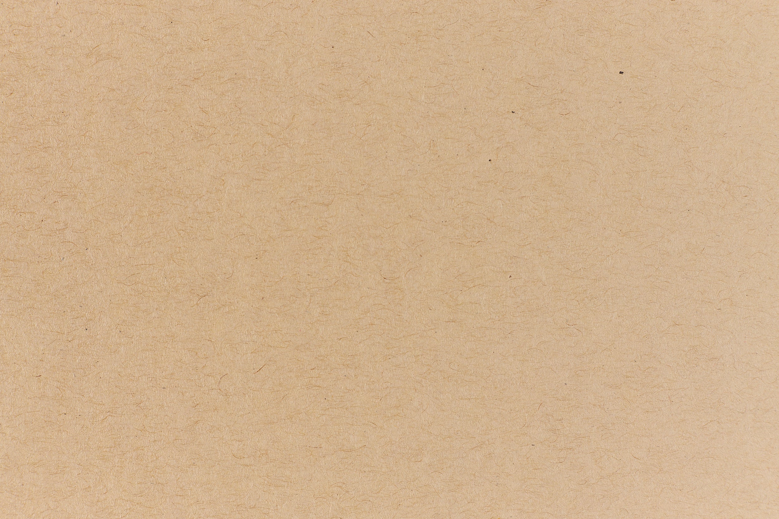 Kraft Paper (Speckletone, Text Weight) – French Paper