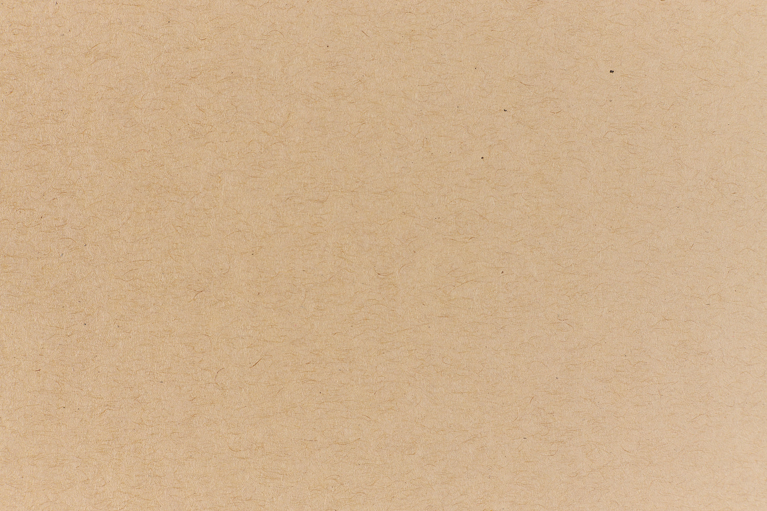 Kraft Paper (Speckletone, Text Weight)