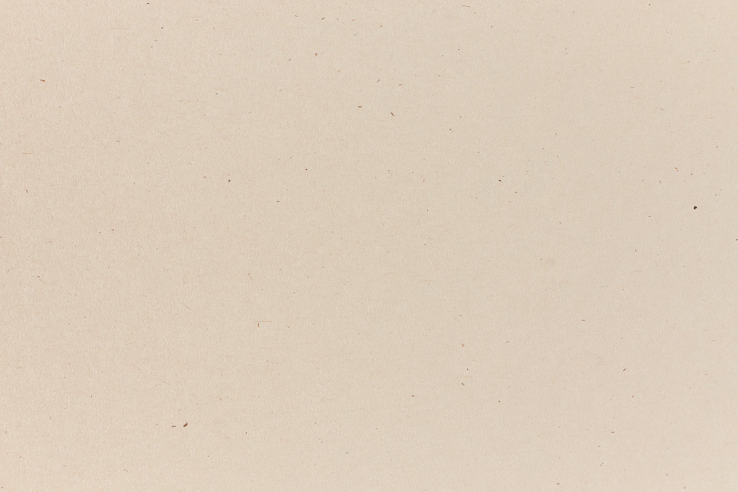 Natural Cardstock White Cover Weight Paper Speckletone French Paper