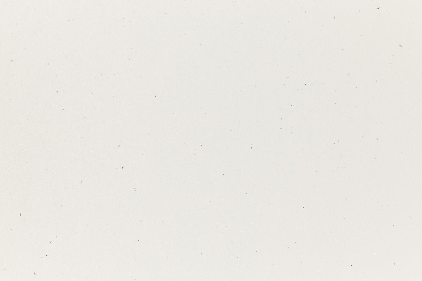 True White Envelope (Speckletone)