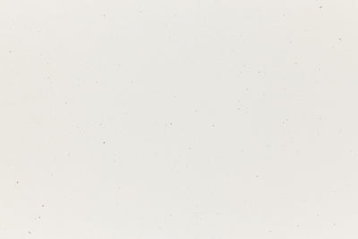 True White Envelope (Speckletone)