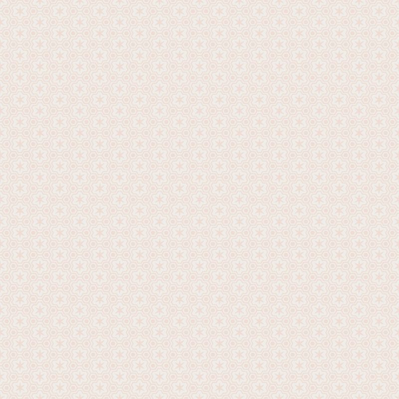 Blush Patterned Envelope (Mod-Tone)