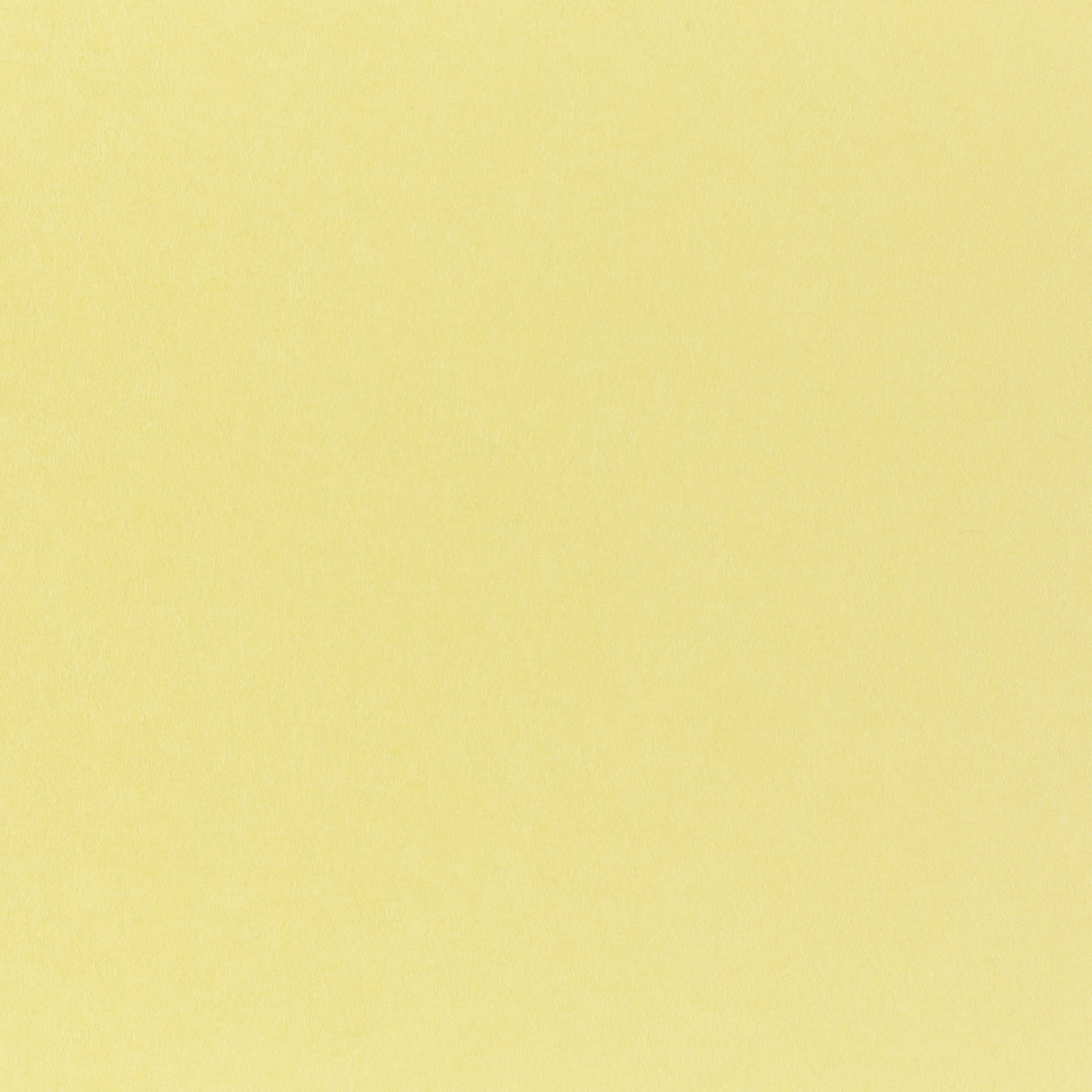 Pop-Tone Banana Split 80. lb Cover