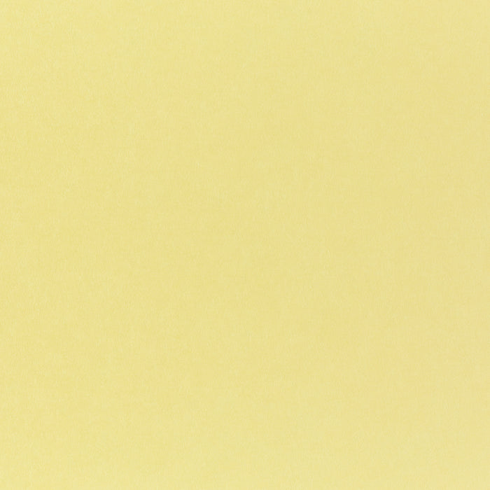 French Paper Pop-Tone | Colored Paper for Art and Creativity