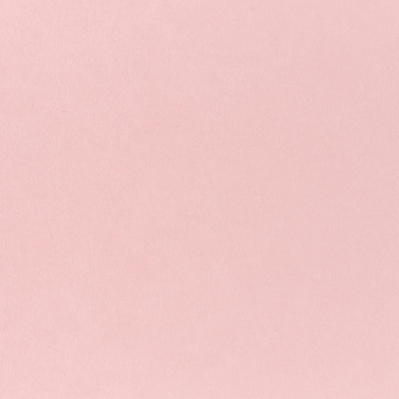Pop-Tone Bubblegum 80. lb Cover