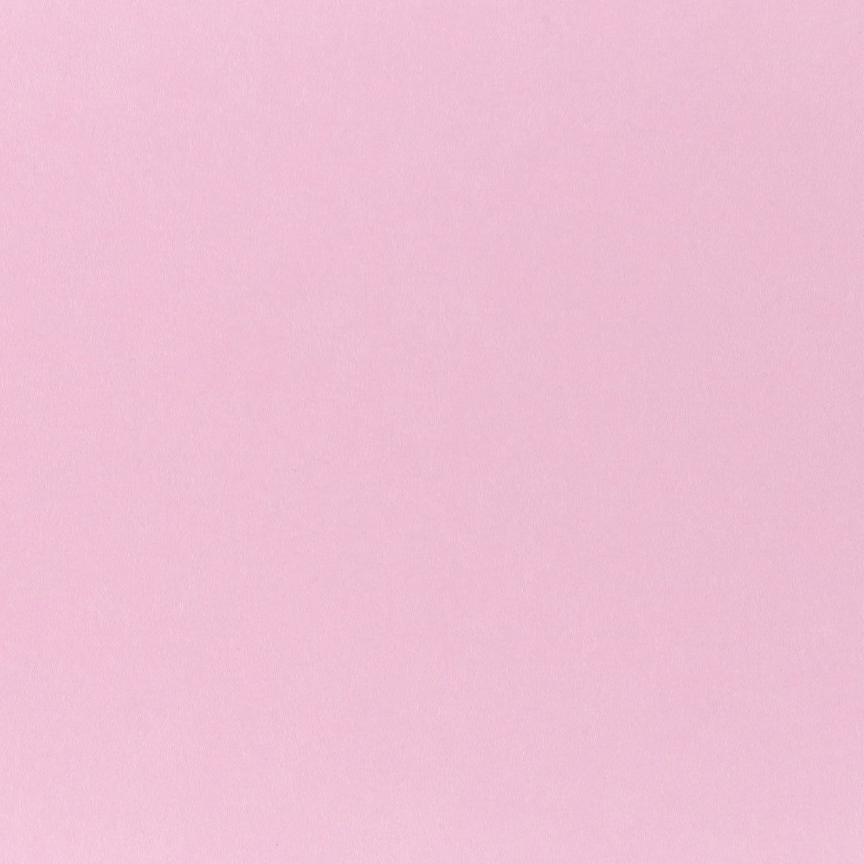 Pop-Tone Cotton Candy 80. lb Cover