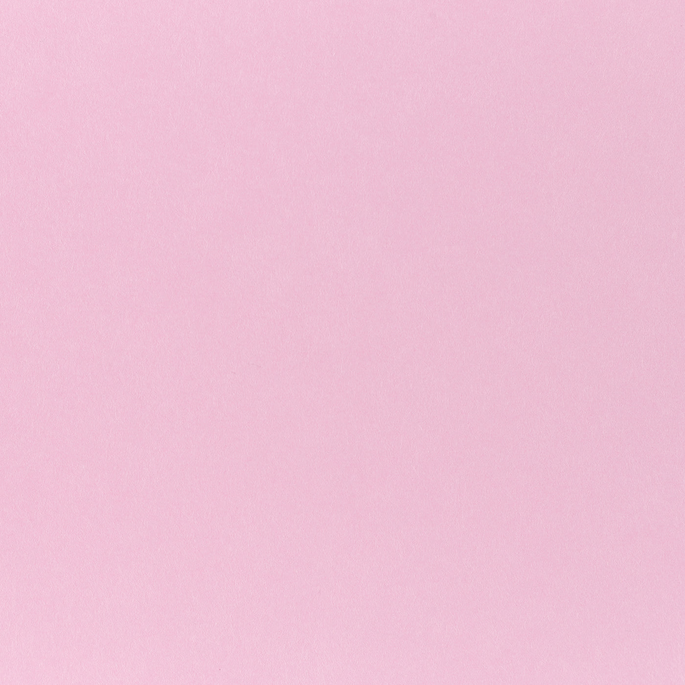 Pop-Tone Cotton Candy 80. lb Cover