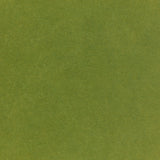 Pop-Tone Jellybean Green 80. lb Cover