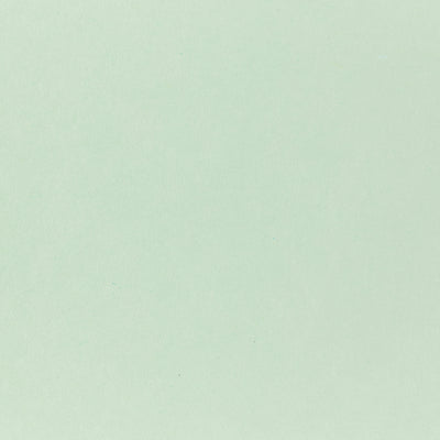 Pop-Tone Spearmint  80. lb Cover