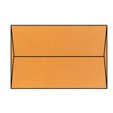 Orange Fizz Envelope (Pop-Tone)