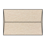 Camel Envelope (Parchtone)