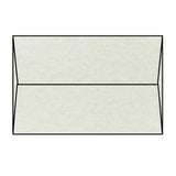 Sage Envelope (Parchtone)