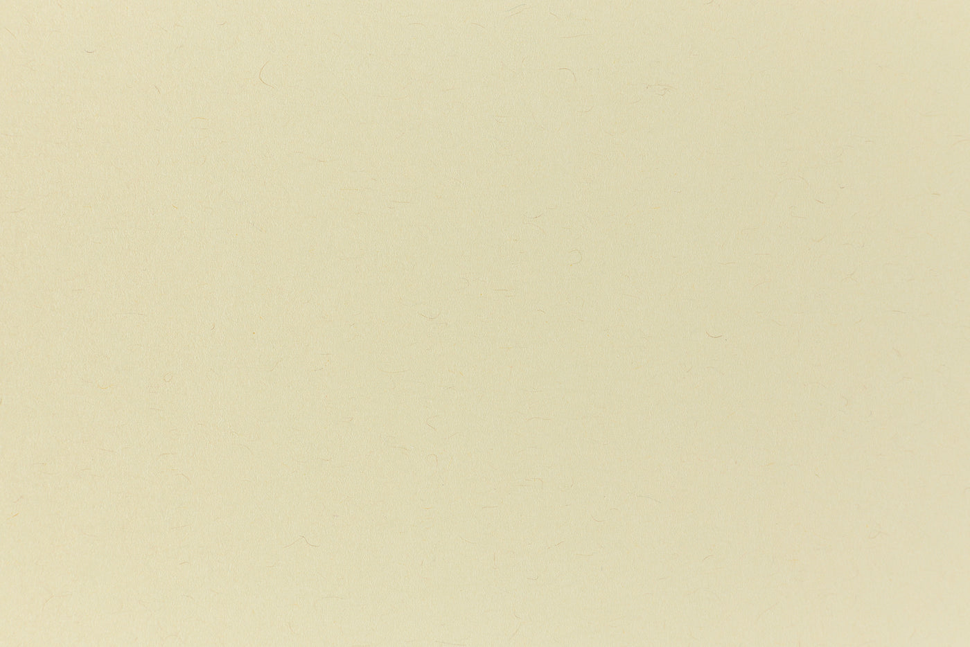 Cement green cardstock viewed in close detail.
