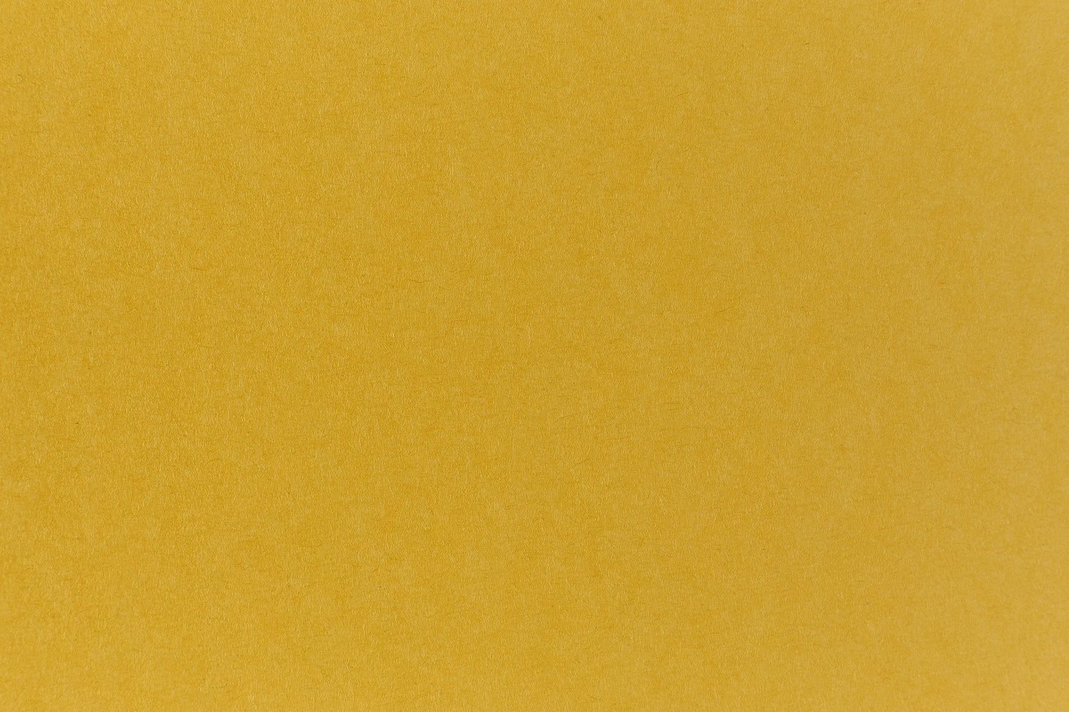 Brilliant green cardstock construction paper. 