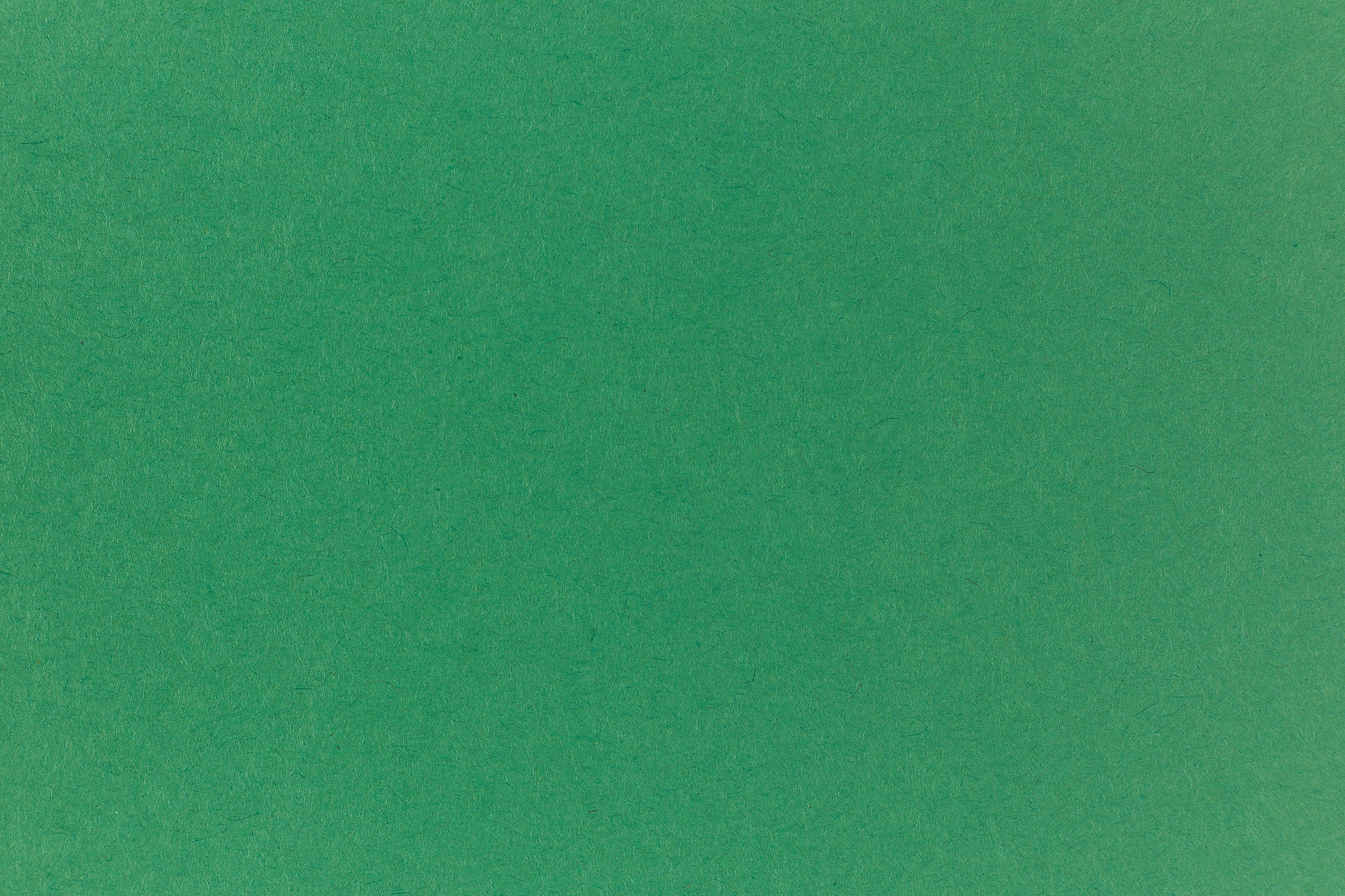 Plain Green Color