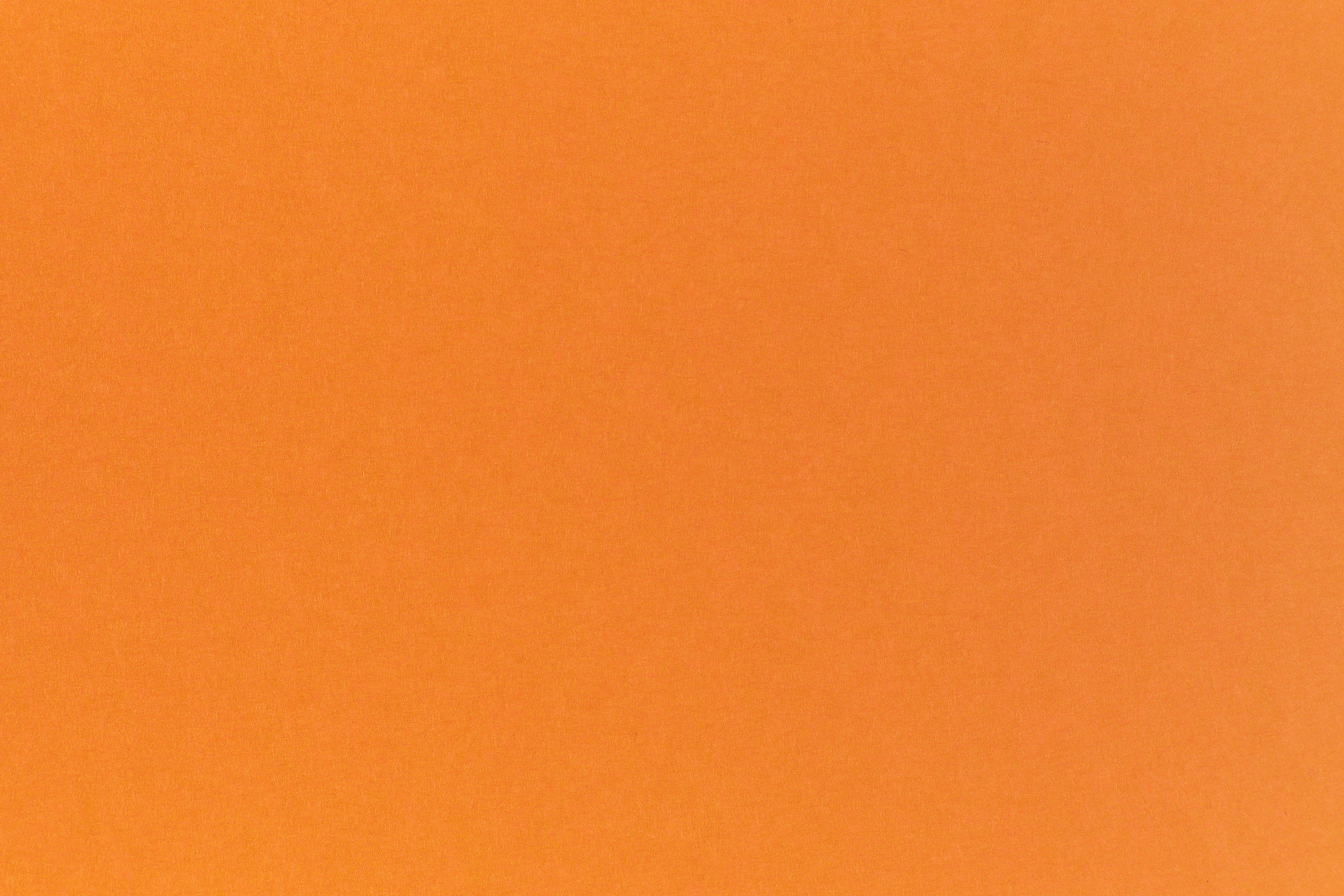 Color Neon Orange