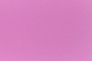 Purple cardstock in cover weight from French Paper. 