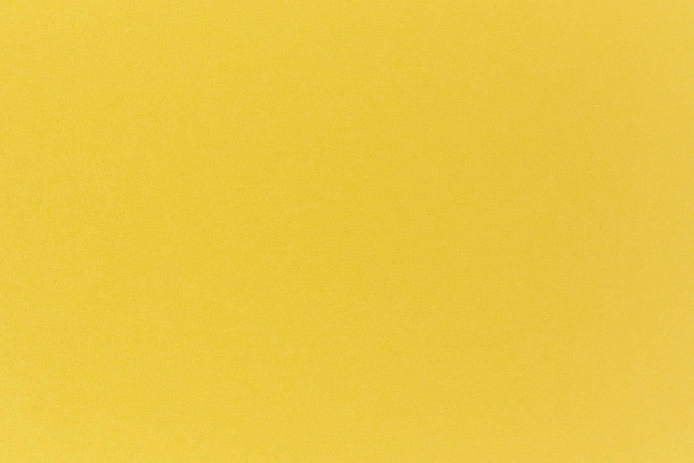 Curious Yellow Color Solid Light Yellow Color