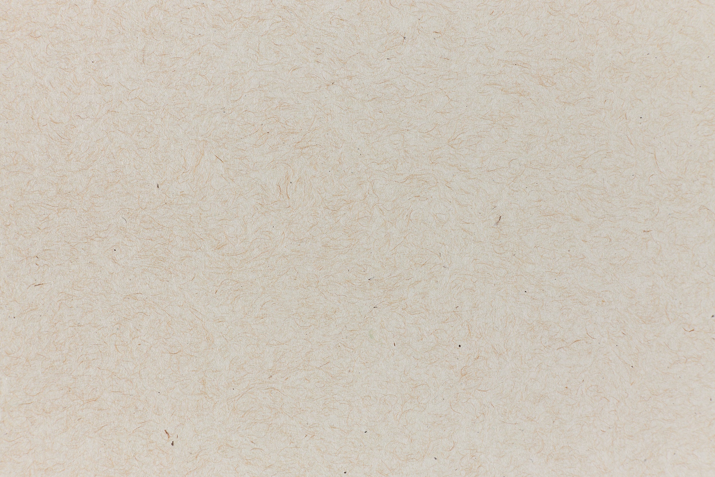 Recycled Cardstock Texture