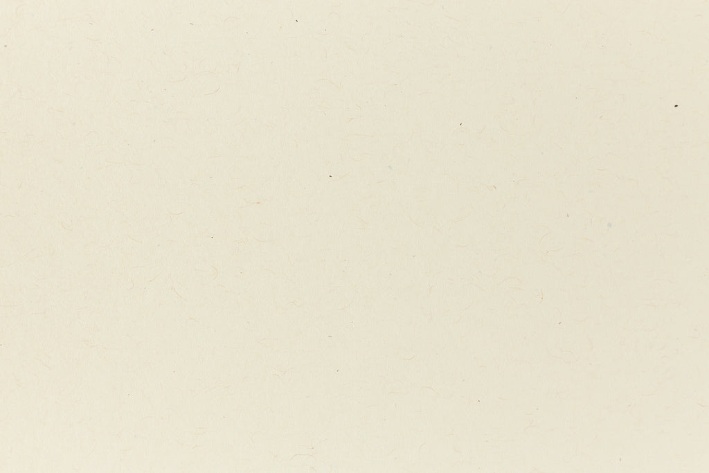 Off White Background
