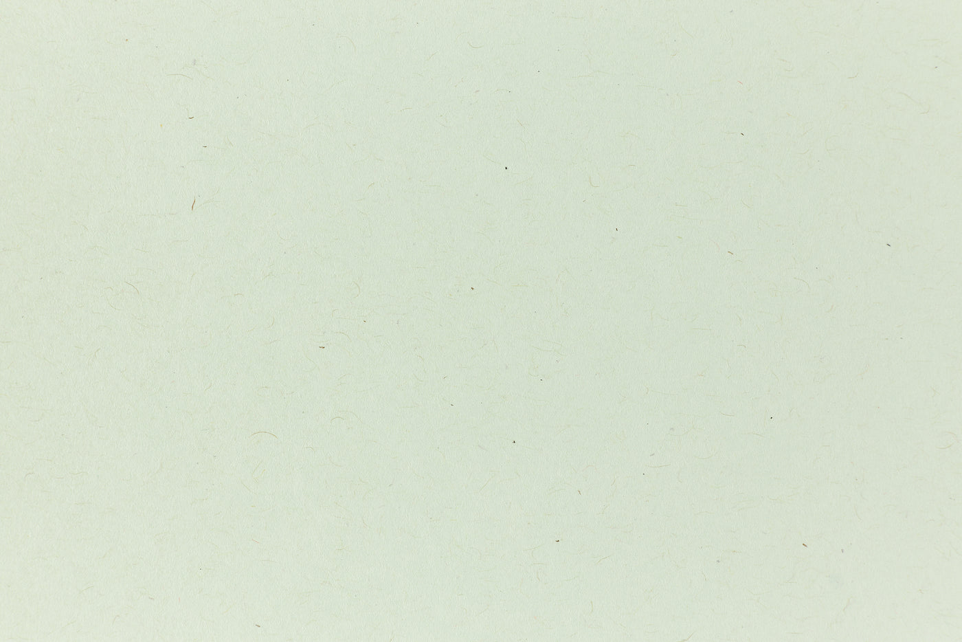 Ledger Green Kraft Envelope (Kraft-Tone)