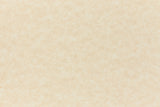 Aged Parchment Envelope (Parchtone)