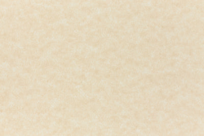 Parchtone Pattern Light Parchment Texture