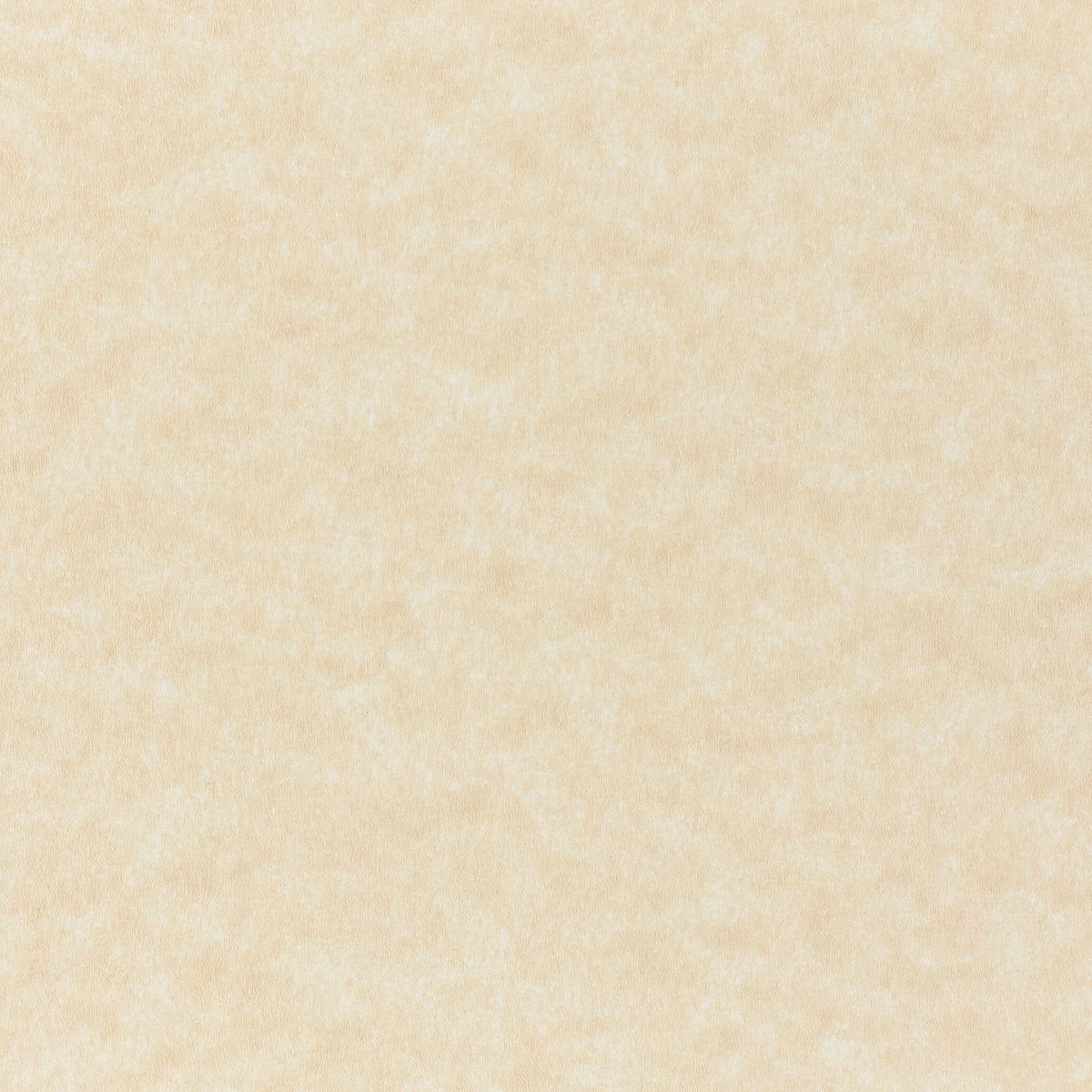 Parchment Stock Aged Parchment Cardstock - Tan Cover Weight Paper - Parchtone – French ...