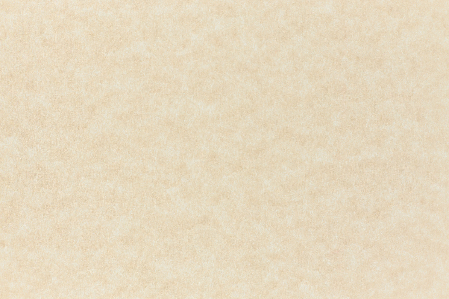 Aged Parchment Paper (Parchtone, Text Weight)
