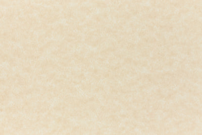 Aged Parchment Paper (Parchtone, Text Weight)